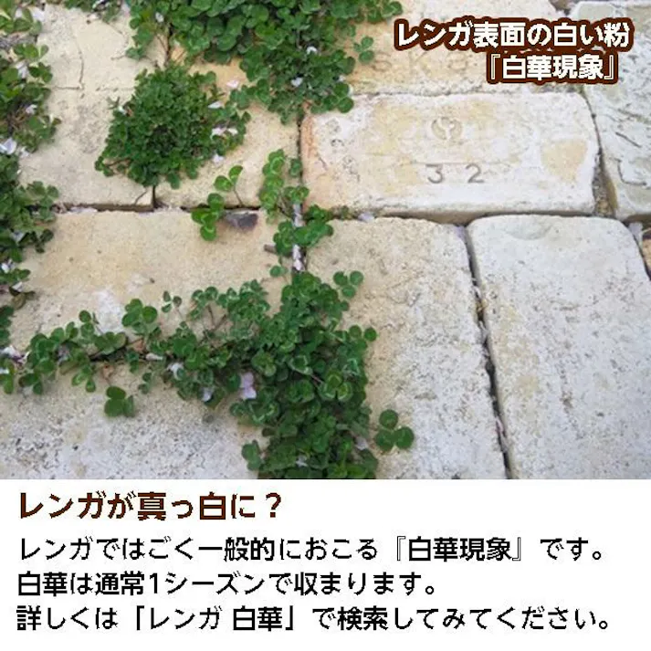 〈ネット限定〉アンティークレンガ シンフォニーライト120個セット 国産品