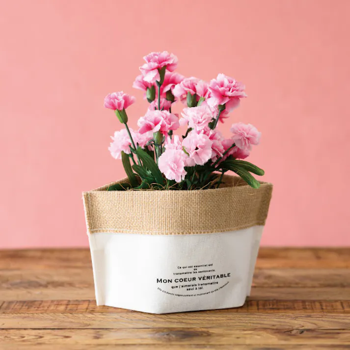 ヘッズ トレイ・カゴ-布 W270×D140×H140mm アレーヌハンドメイドポットカバー-M(10枚) HEADS ALN-HMM