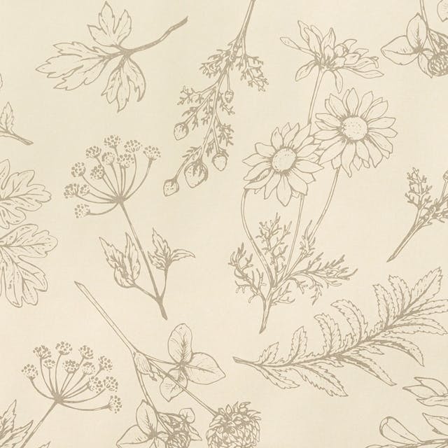 ヘッズ 包－紙－半裁 W750×H525mm ベルプランツ包装紙-1(50枚) HEADS BEP-1W