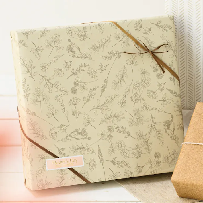 ヘッズ 包-紙-半裁 W750×H525mm ベルプランツ包装紙-1(50枚) HEADS BEP-1W