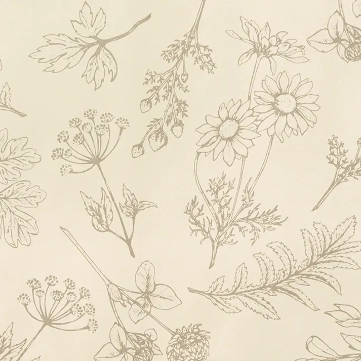 ヘッズ 包-紙-全紙 W1050×H750mm ベルプランツ包装紙-1(全紙)(50枚) HEADS BEP-1WZ