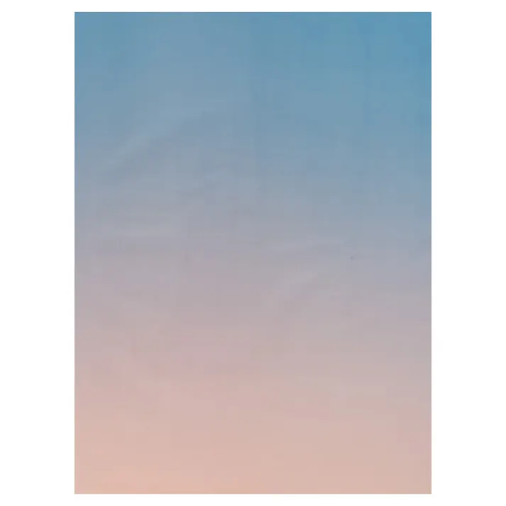 ヘッズ 包-紙-その他 W460×H620mm ブーケラッピング耐水ペーパーL-6(20枚) HEADS BWP-DL6