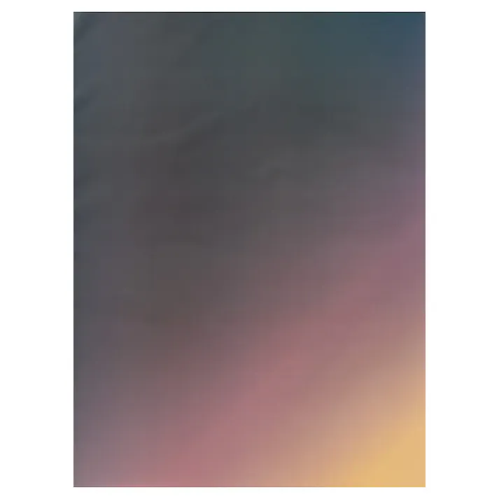 ヘッズ 包-紙-その他 W460×H620mm ブーケラッピング耐水ペーパーL-6(20枚) HEADS BWP-DL6