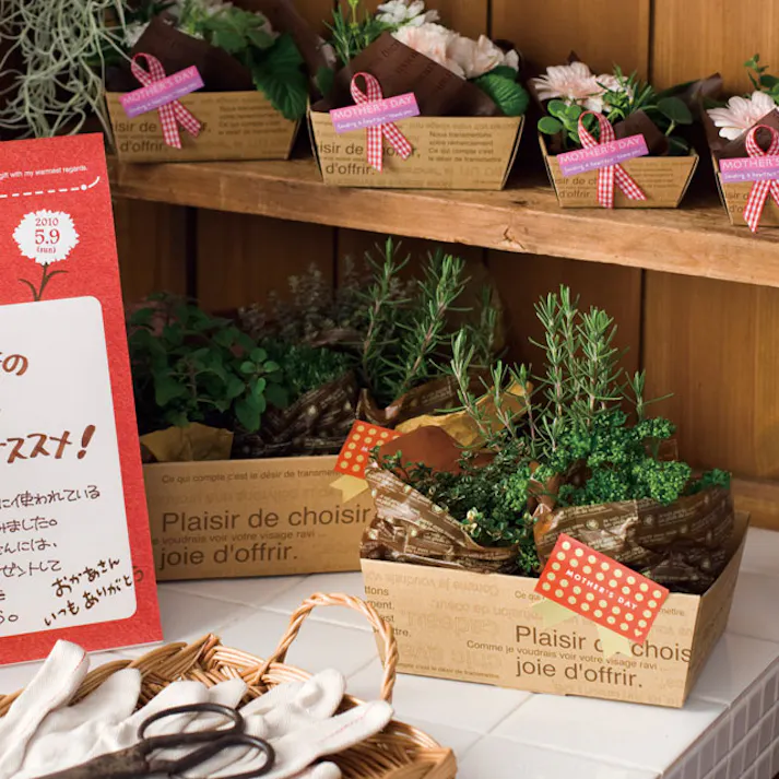 ヘッズ トレイ・カゴ-紙 W170(150)×D130(110)×H60mm カフェオレペーパーギフトトレイ-2/ハーフ(20枚) HEADS CAF-GT2H