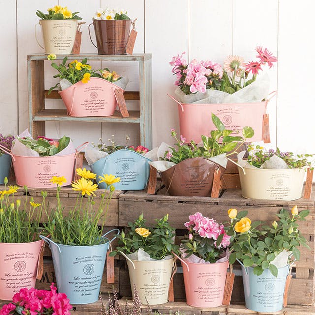 ヘッズ トレイ・カゴ－ブリキ 直径120(90)×105mm カンパーニュブリキ