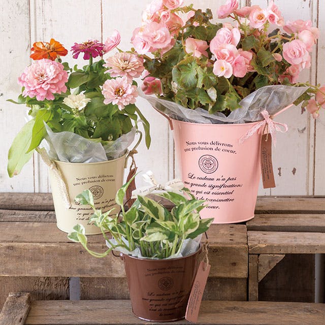 ヘッズ トレイ・カゴ－ブリキ 直径120(90)×105mm カンパーニュブリキ