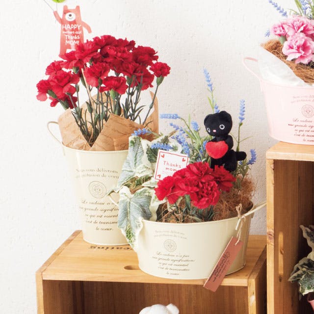 ヘッズ トレイ・カゴ－ブリキ 直径170(110)×170mm カンパーニュブリキ