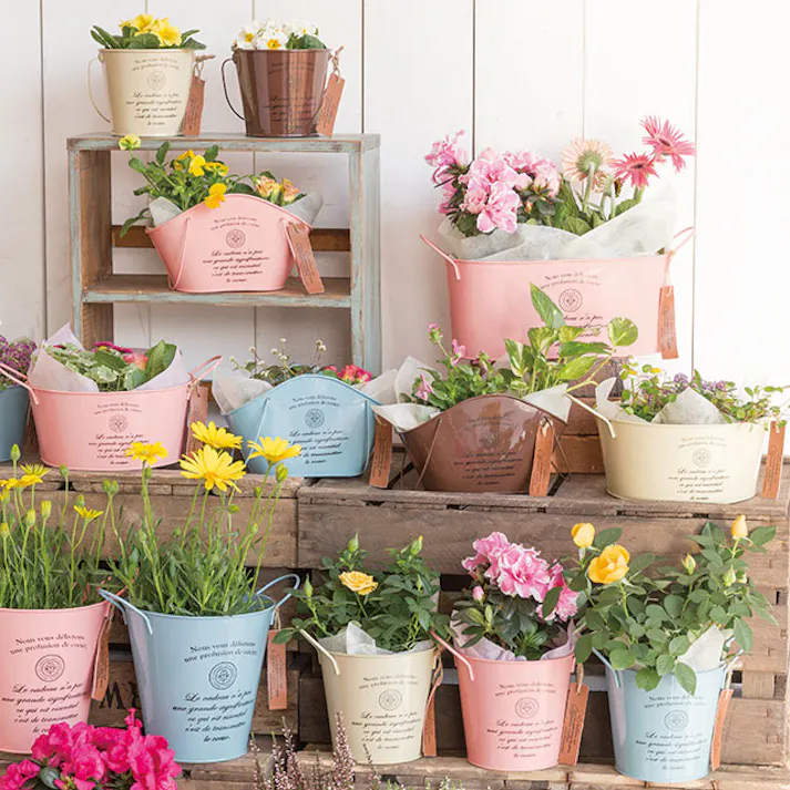 ヘッズ トレイ・カゴ-ブリキ 直径130(95)×125mm カンパーニュブリキバケツ-M/アイボリー(6個) HEADS CNI-BBKM