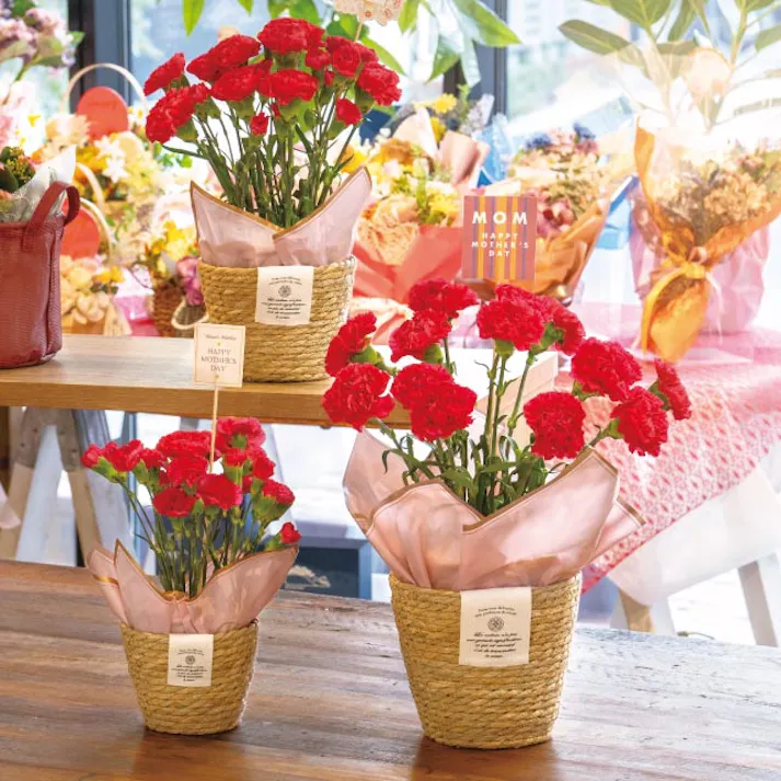 ヘッズ トレイ・カゴ-自然素材 直径160(110)×H130mm カンパーニュラッシュラウンドバスケット-M(6個) HEADS CN-RMB