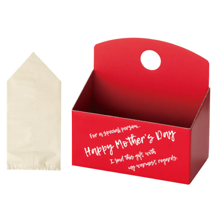 ヘッズ トレイ・カゴ-紙 W200×D105×H200(100)mm イージーフラワーペーパーボックス-WS/母の日(10枚) HEADS ESF-MAWS