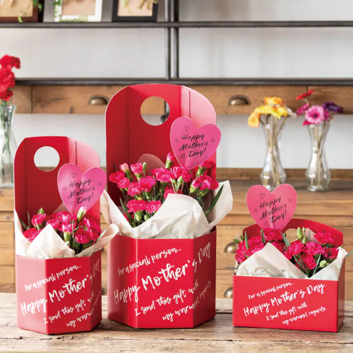 ヘッズ トレイ・カゴ-紙 W200×D105×H200(100)mm イージーフラワーペーパーボックス-WS/母の日(10枚) HEADS ESF-MAWS