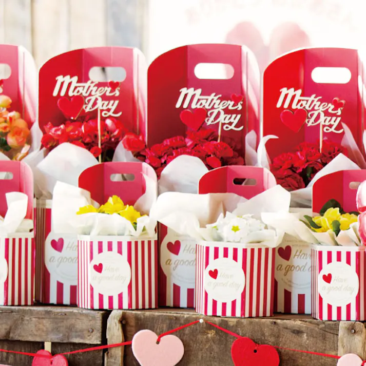 ヘッズ トレイ・カゴ-紙 W115×D99×H200(100)mm イージーフラワーペーパーボックス-S/ストライプ(10枚) HEADS ESF-STS