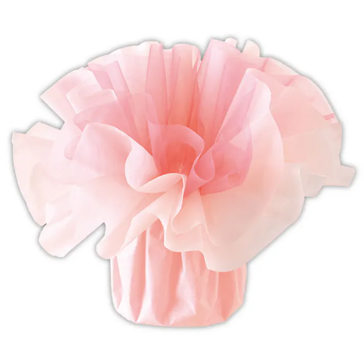 ヘッズ 包-その他 W260×D260×H200mm フロットンスタンディングブーケラッピングM-2/ピンク(10枚) HEADS FSD-WM2