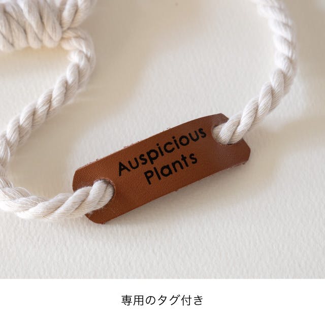 ヘッズ トレイ・カゴ－布 W145×D145×H125(全長700)mm ハンギング