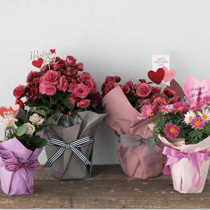 ヘッズ 包-紙-ロール W650mm×20m巻 撥水ペーパーロール-6/パープル(1巻(20m)) HEADS HPA-RO6