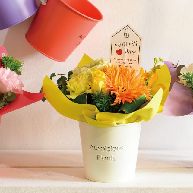 ヘッズ トレイ・カゴ－ブリキ 直径120(90)×H105mm ハッピープランツ