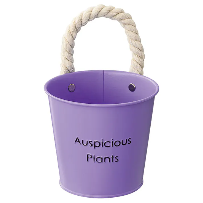 ヘッズ トレイ・カゴ-ブリキ 直径120(90)×H105mm ハッピープランツブリキバケツ-S/パープル(6個) HEADS HPP-BBKS