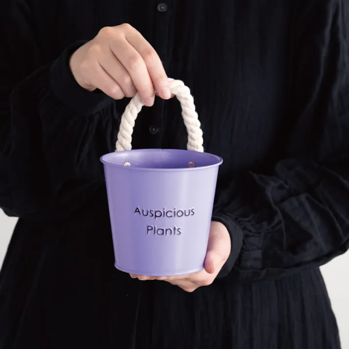 ヘッズ トレイ・カゴ-ブリキ 直径120(90)×H105mm ハッピープランツブリキバケツ-S/パープル(6個) HEADS HPP-BBKS