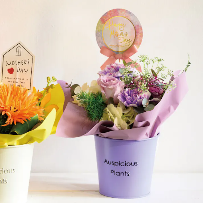 ヘッズ トレイ・カゴ-ブリキ 直径120(90)×H105mm ハッピープランツブリキバケツ-S/パープル(6個) HEADS HPP-BBKS