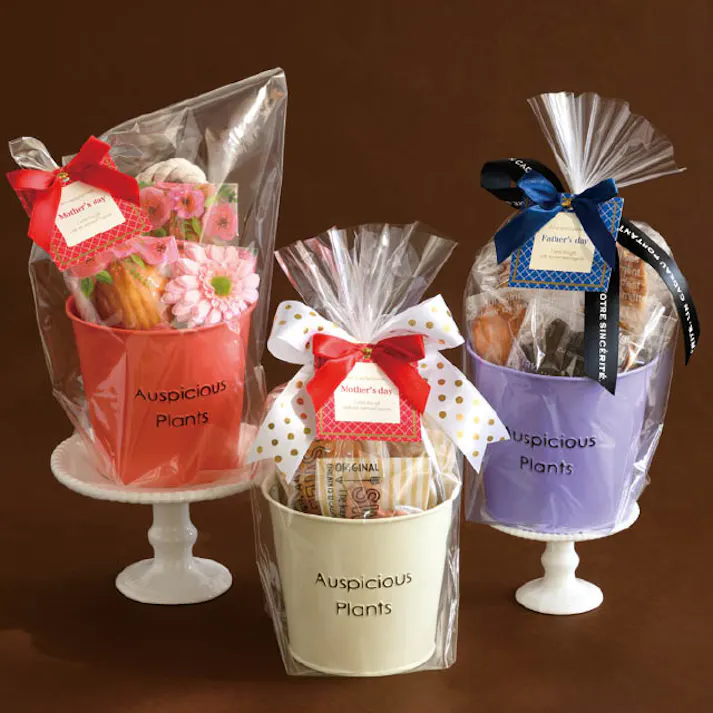 ヘッズ トレイ・カゴ-ブリキ 直径120(90)×H105mm ハッピープランツブリキバケツ-S/パープル(6個) HEADS HPP-BBKS