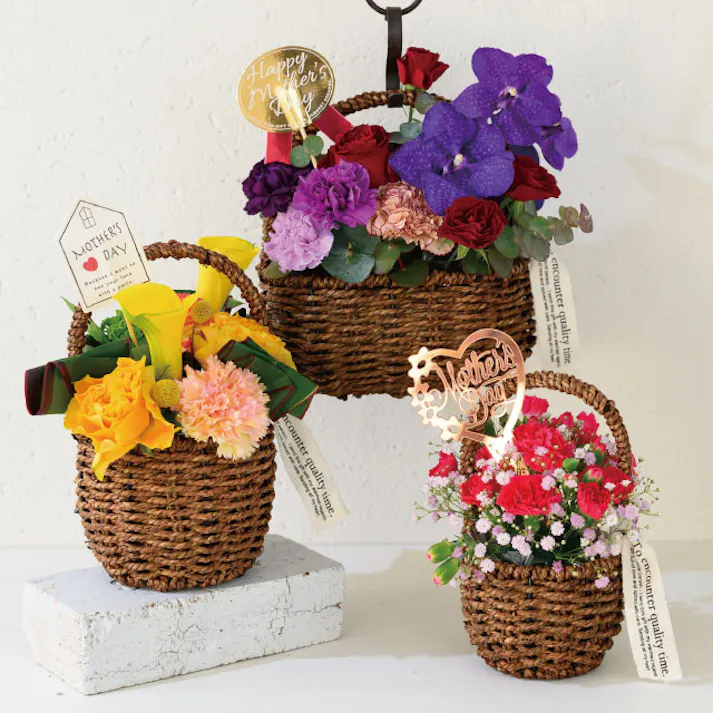 ヘッズ トレイ・カゴ-自然素材 直径140(110)×H250(120)mm ハンドルカゴバッグナチュラル-M(4個) HEADS KGN-RMB