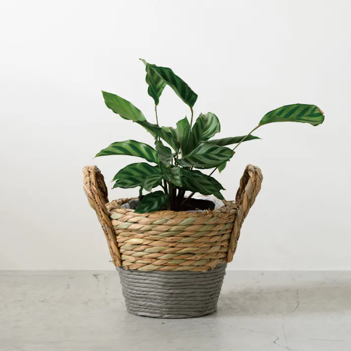 ヘッズ トレイ・カゴ-自然素材 W210(120)×D180×H200mm ラウンドツートーンバスケットグレー-M(2個) HEADS KGT-GRMB