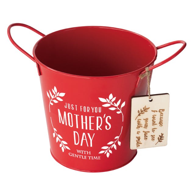 ヘッズ トレイ・カゴ－ブリキ 直径130(95)×125mm マザーズデイブリキバケツ-M(6個) HEADS MA-BBKM