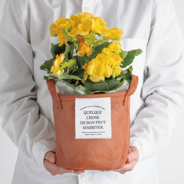 ヘッズ トレイ・カゴ－PVC 直径180×H180mm メッシュラウンド