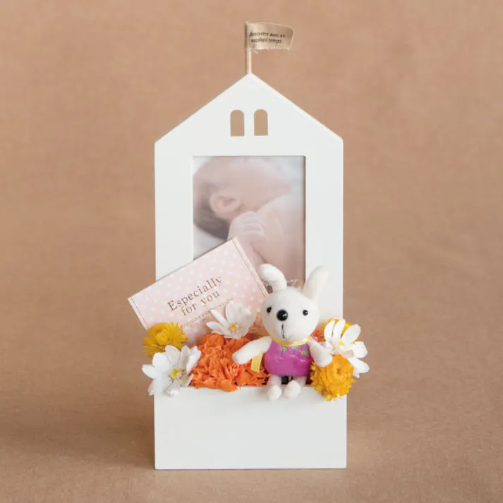 ヘッズ トレイ・カゴ-木 外寸/W135×D70×H300mm マルチウッドフレームお家型-3/ホワイト(2個) HEADS MUW-WFR3