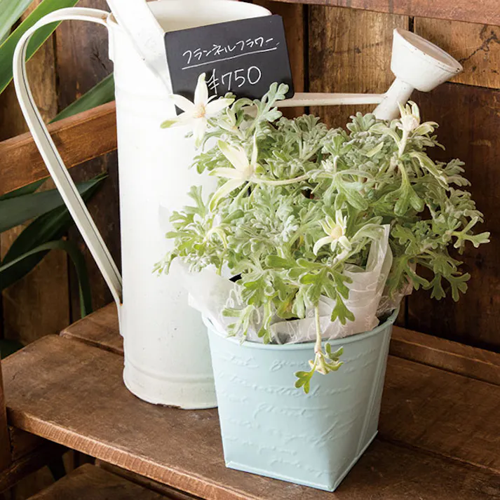 ヘッズ トレイ・カゴ-ブリキ 直径120(70×70)×H100mm NFブリキポット-3/ブルー(6個) HEADS NF-BPB3