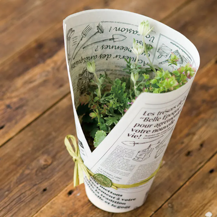 ヘッズ 包-紙-その他 W813×H546mm ニュースペーパージャーナル-1WR(500枚) HEADS NPJ-1WR