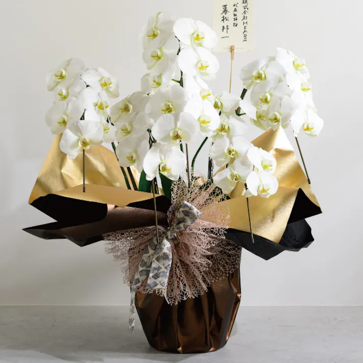 ヘッズ 包-不織布-ロール W750mm×10m巻 シャイニー不織布ロール-1/ゴールド(1巻(10m)) HEADS SHY-RO1