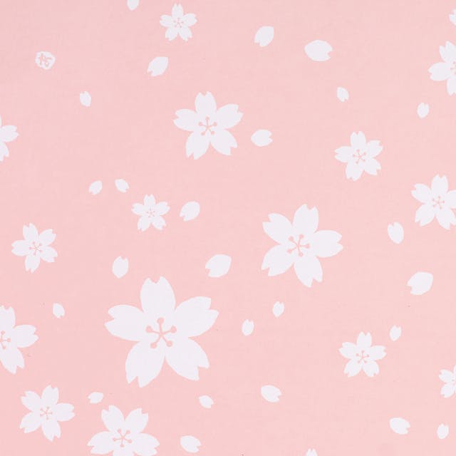 ヘッズ 包－紙－半裁 W750×H525mm さくら包装紙-1(50枚) HEADS SKR-1W