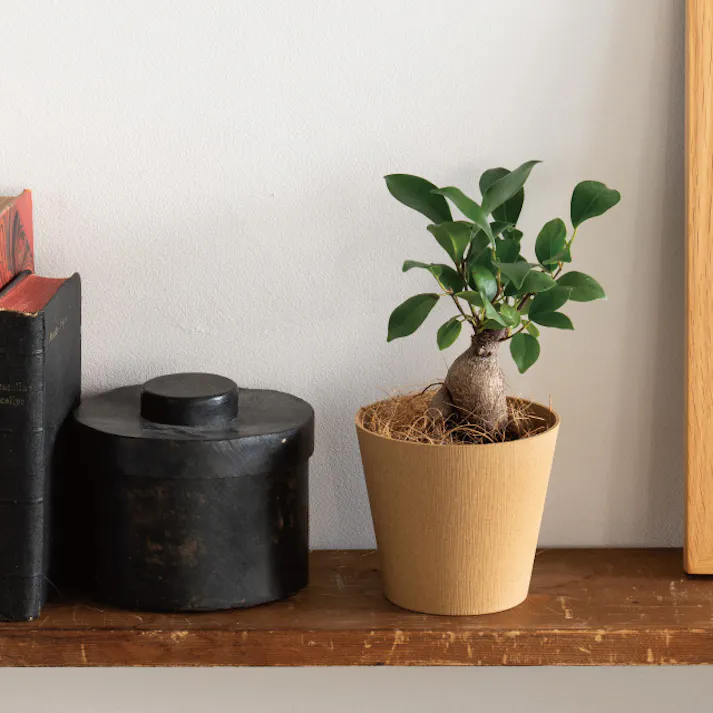 ヘッズ トレイ・カゴ-PP 直径100(70)×H90mm ウッディフラワーアレンジポット-S/ナチュラル(10個) HEADS WDY-PONS