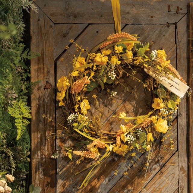 フレンチリース　ブルー CAINZ-DASH】フルプラ ダイヤスプレー エクセレント500 ライト