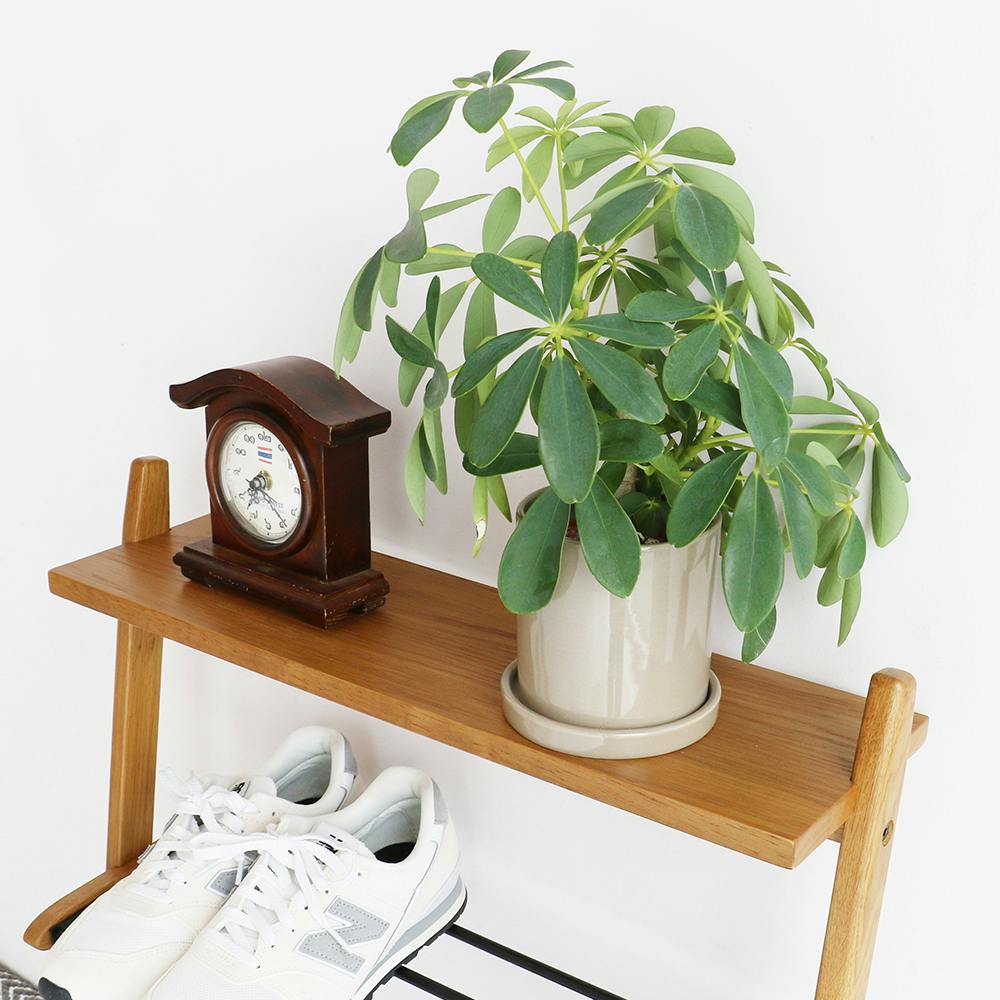 玄関を心地よく彩る、毎日にぴったりのシューズラック Shoes Rack