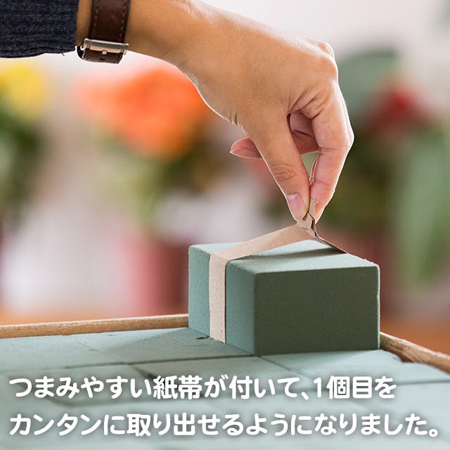 ヘッズ 花－その他 W76×D110×H80mm ｹｰｽｻｲｽﾞ/W660×D320×H235mm アーパス