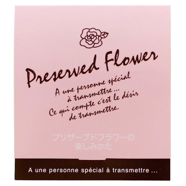 ヘッズ 小物－カード－メンテナンス W60×H132mm プリザーブド