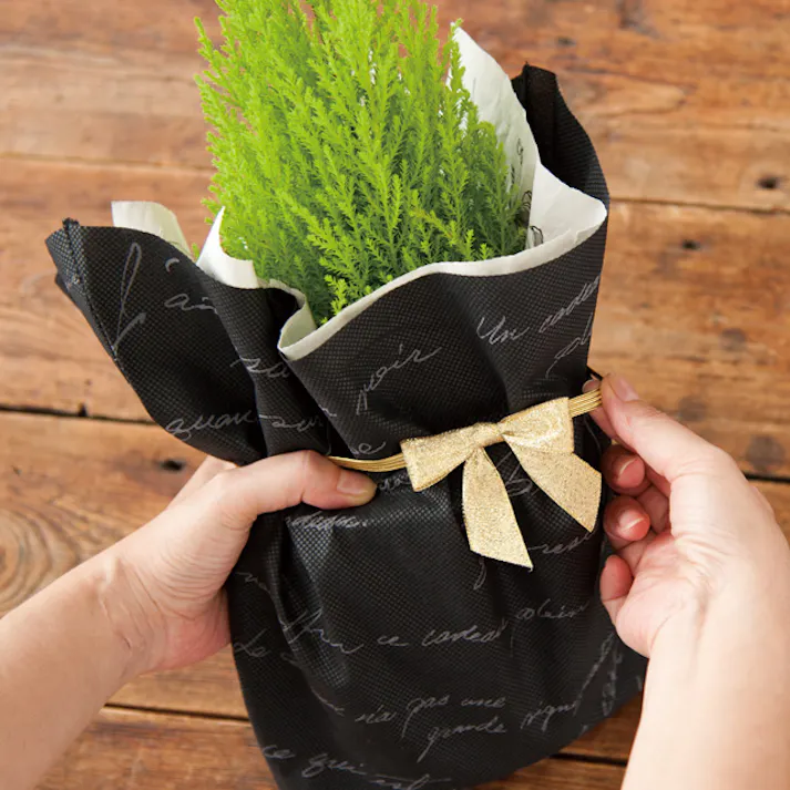 ヘッズ 小物-タッグ-ゴム・ヒモ付 W50×H40mm シャインリボンゴムタッグゴールド-2(30個) HEADS GOL-TR2