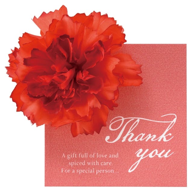 ヘッズ 小物－カード W95×H95mm 母の日ハンドメイドカード-6/レッド(10枚) HEADS HMA-C6