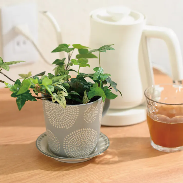 ヘッズ 雑貨-フラワーベース W140×D120×H105mm ハンドメイドプリントフラワーポット-14/カップ&ソーサー(2個) HEADS HNP-FPO14