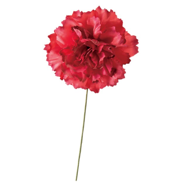 ヘッズ 小物－タイ－ワイヤー W70×H150mm カーネーションフルリール-S/レッド-1(10本) HEADS ZCA-YS1