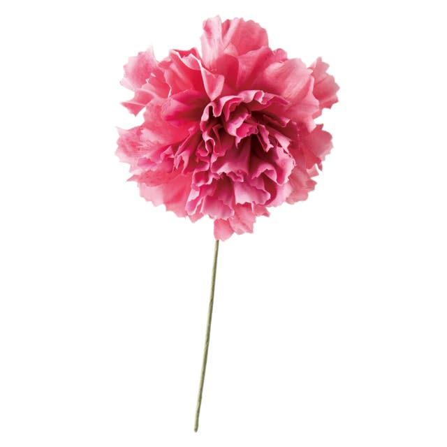 ヘッズ 小物－タイ－ワイヤー W70×H150mm カーネーションフルリール-S/ピンク-2(10本) HEADS ZCA-YS2