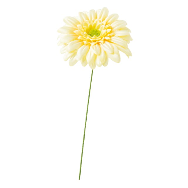 ヘッズ 小物－タイ－ワイヤー W70×D70×H170mm ガーベラフルリール-S/ベビーイエロー-2(12本) HEADS ZGE-YS2