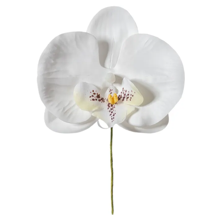 ヘッズ 小物-タイ-ワイヤー W100×H160mm 胡蝶蘭フルリール-S/ホワイト-1(10本) HEADS ZKO-YS1