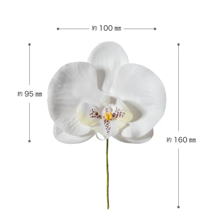 ヘッズ 小物-タイ-ワイヤー W100×H160mm 胡蝶蘭フルリール-S/ホワイト-1(10本) HEADS ZKO-YS1