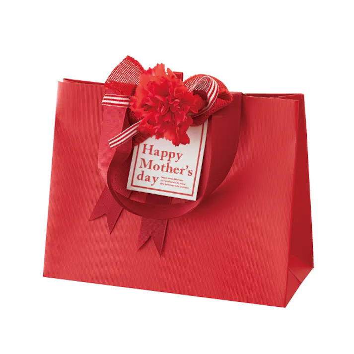 ヘッズ 小物-クリップ W140×H110㎜ 母の日フルリールクリップ付-1(10個) HEADS ZMA-CL1