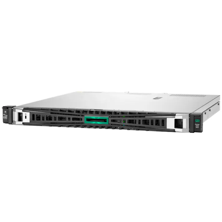 SC DL20G11 E2434 32G SFMR408o600Gx4RPSWS