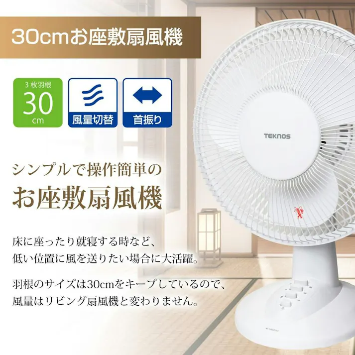 TEKNOS 卓上扇風機 30cm羽根 扇風機 ホワイト KI-1003-W
