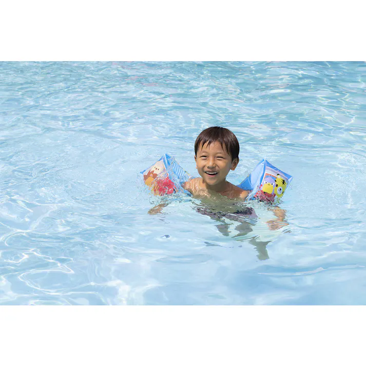 【アームリング(アニマルライド)】 小さなお子様でもこれがあれば安心!浮輪の補助に #4970134440217 イガラシ